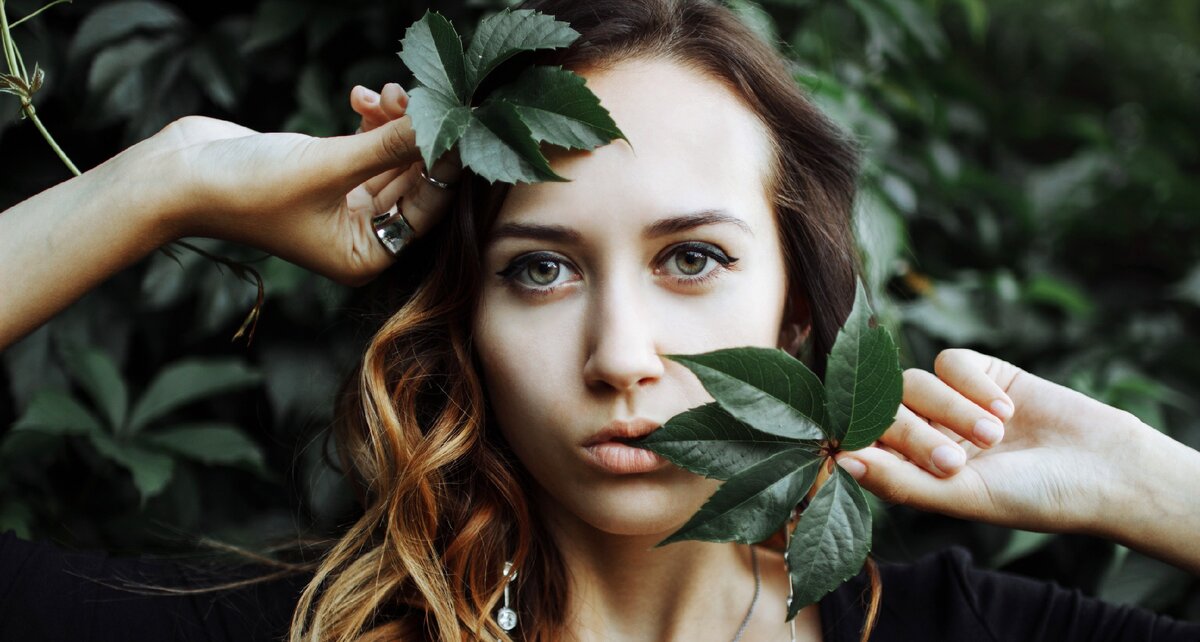 Изображение с сайта https://pixabay.com