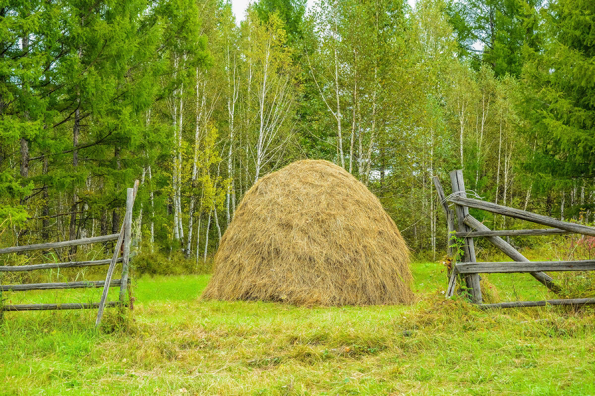 Омет. Скирда омёт копна. Сенная копна. Калязин. Скирда. Стог..