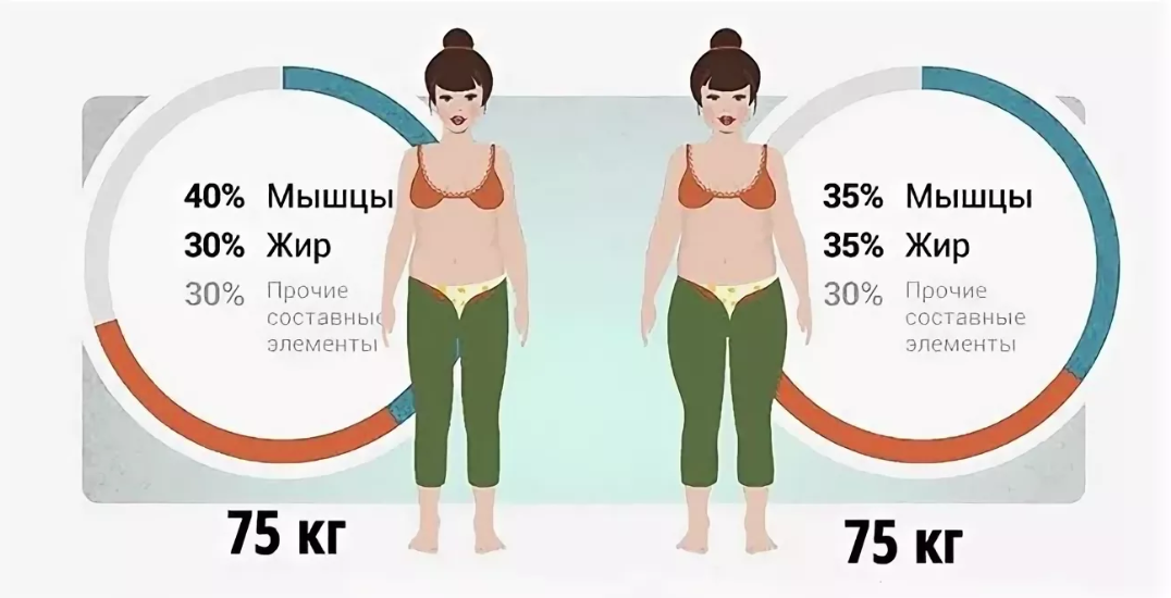 Параметры тела, измеряемые диагностическими весами Microlife