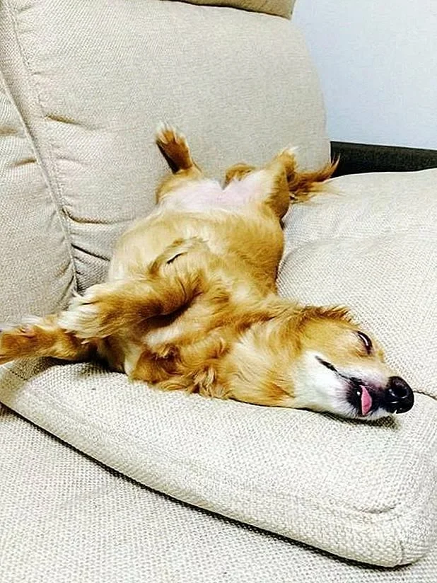 Фото из открытых источников Яндекс. Картинки