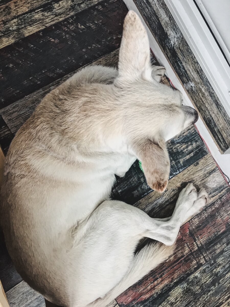 Фото, чтобы похвастаться ушами Джея