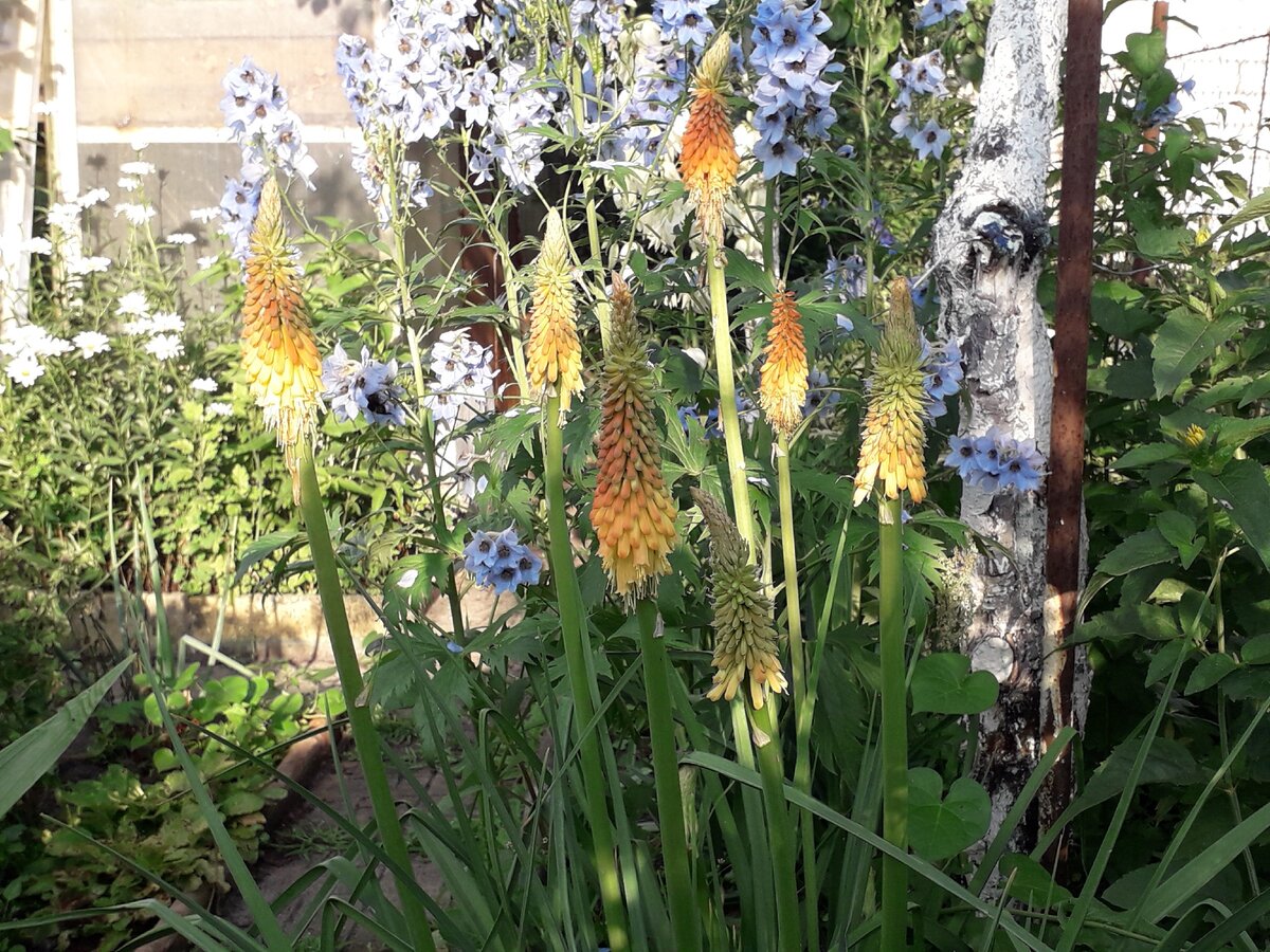 Фото из личного архива