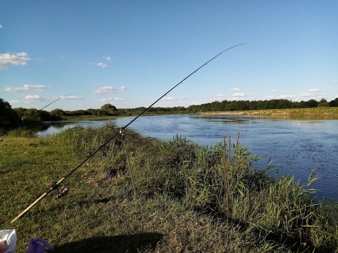 Рыбалка на Днепре