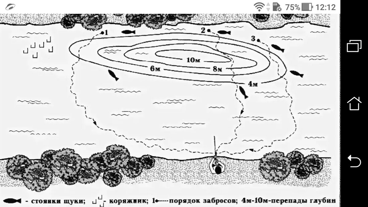 фото Где лучше ловить рыбу в яме и на выходе с ямы