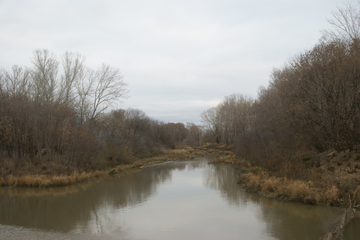 так выглядит река осенью