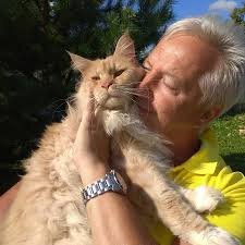 Иллюстративное изображение из открытых источников