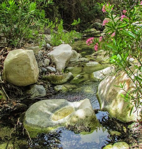 Фото: pixabay.com