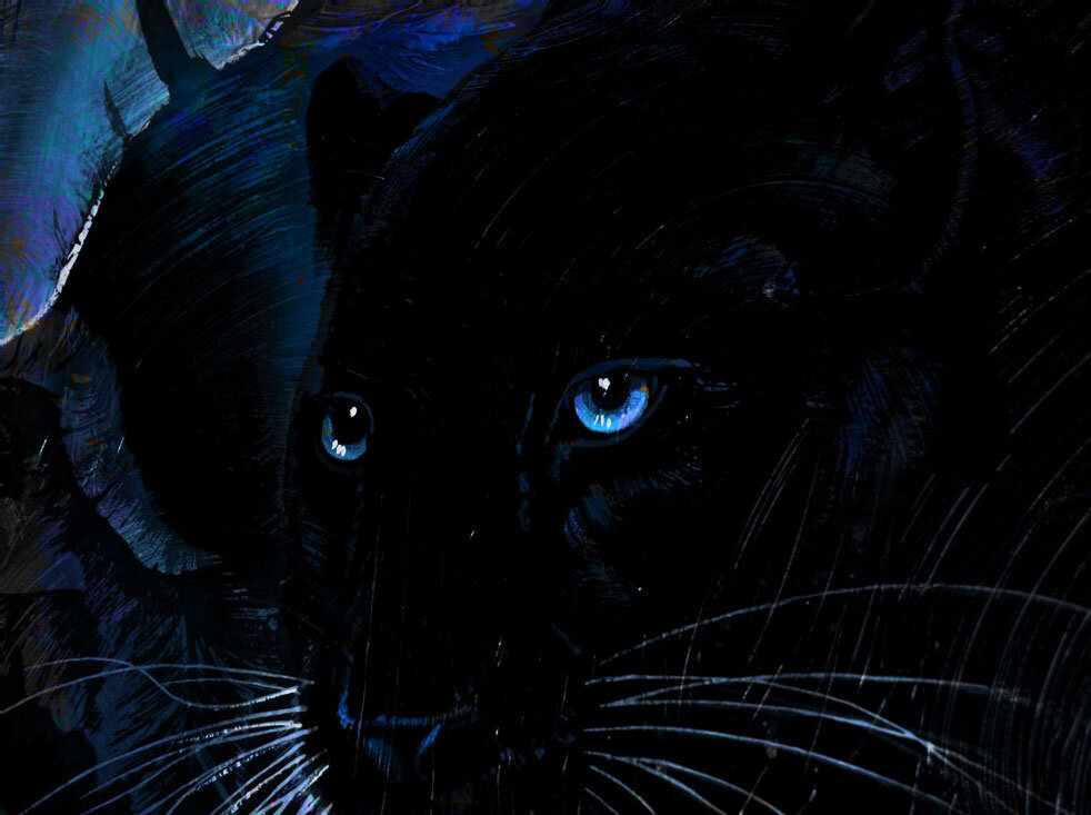 Черно синяя картина. Пантера с голубыми глазами. Черная пантера с голубыми глазами. Черная пантера с синими глазами. Пантера с синими глазами.