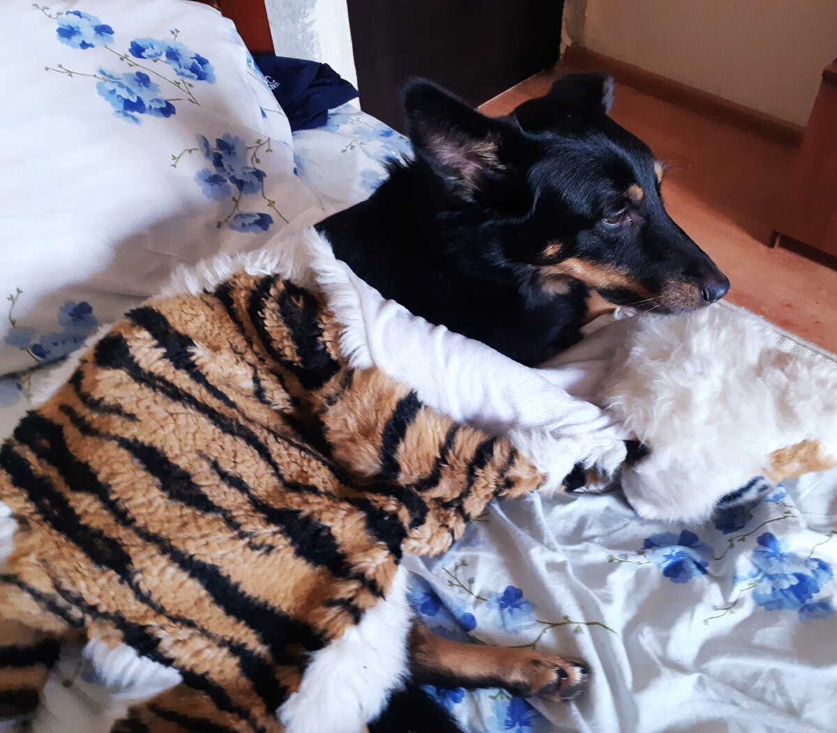 Ника решила обновить свой гардероб