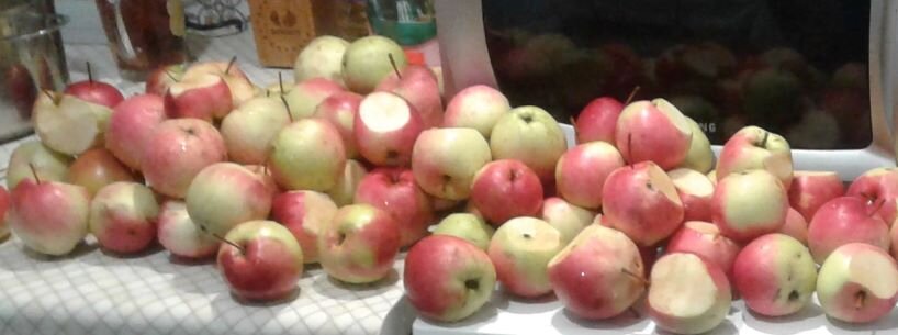 Яблоки в процессе обработки