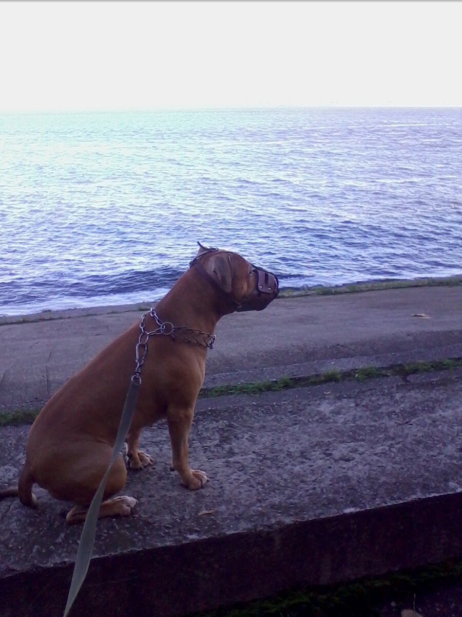 Один из моих ангелов