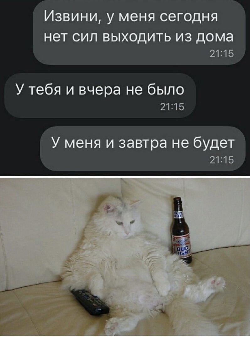 Источник: Яндекс картинки 