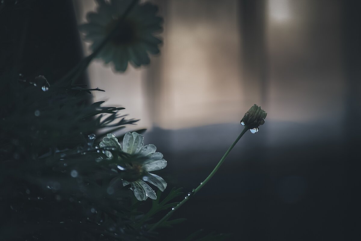 /фото любезно предоставлено Licharal Max ссылка контакт: https://vk.com/id203815348/