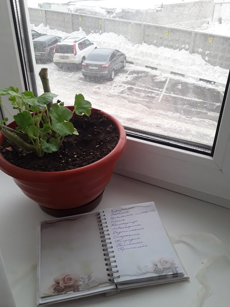 1 января - день новых знаний 