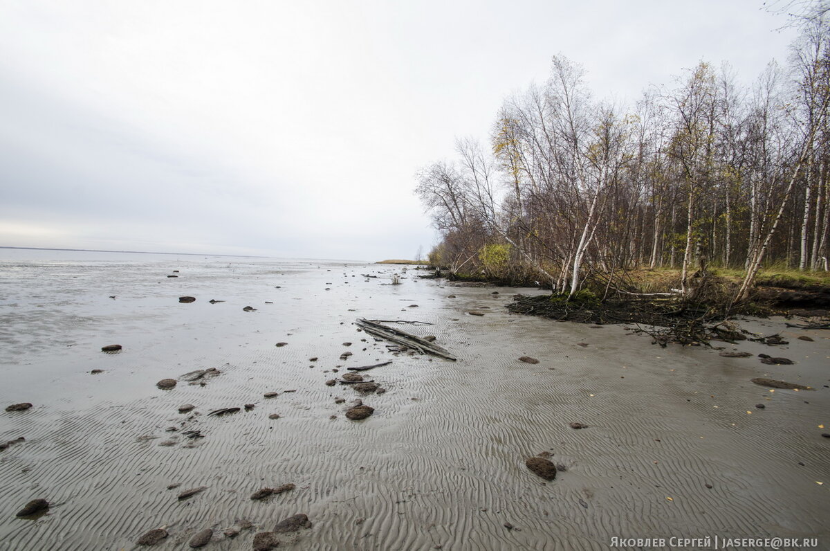 Северная двина какое море