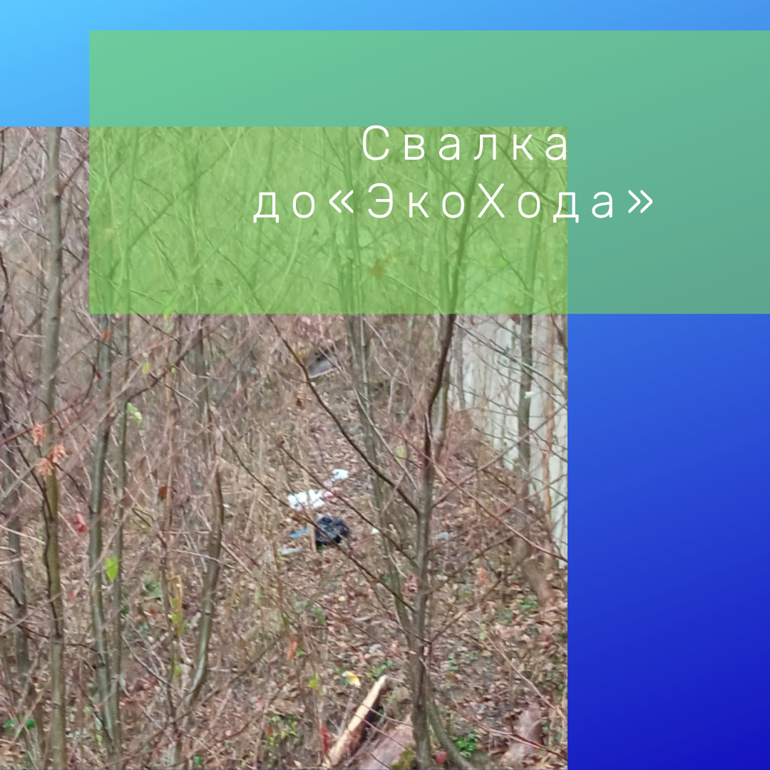 Небольшая свалочка вдоль дороги к селу Бзогу