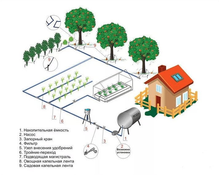 Создаем капельный полив собственноручно: порядок работ