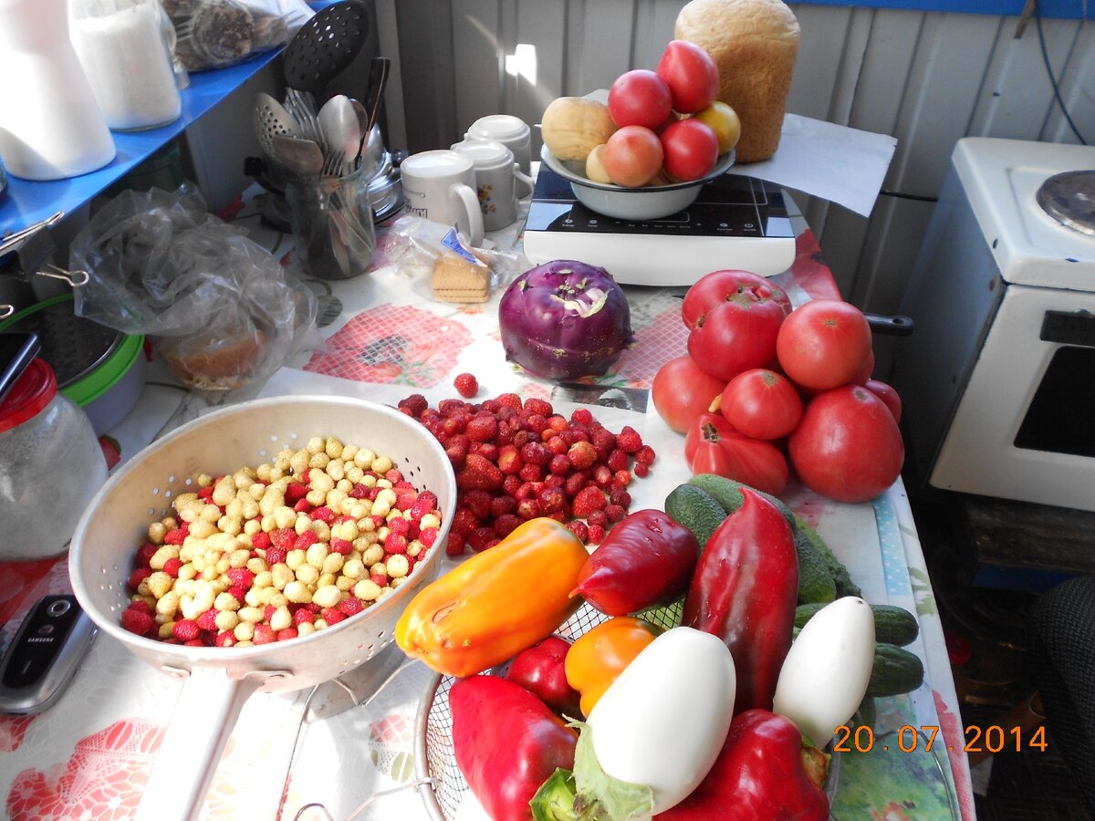 Уже в июле изобилие овощей, которые невозможно употребить в свежем виде