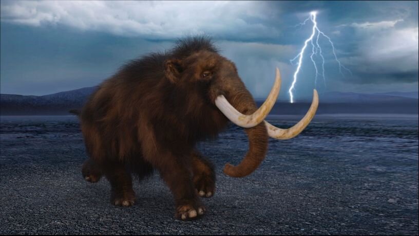 Обнаружена ДНК мамонтов старше мохнатых мамонтов