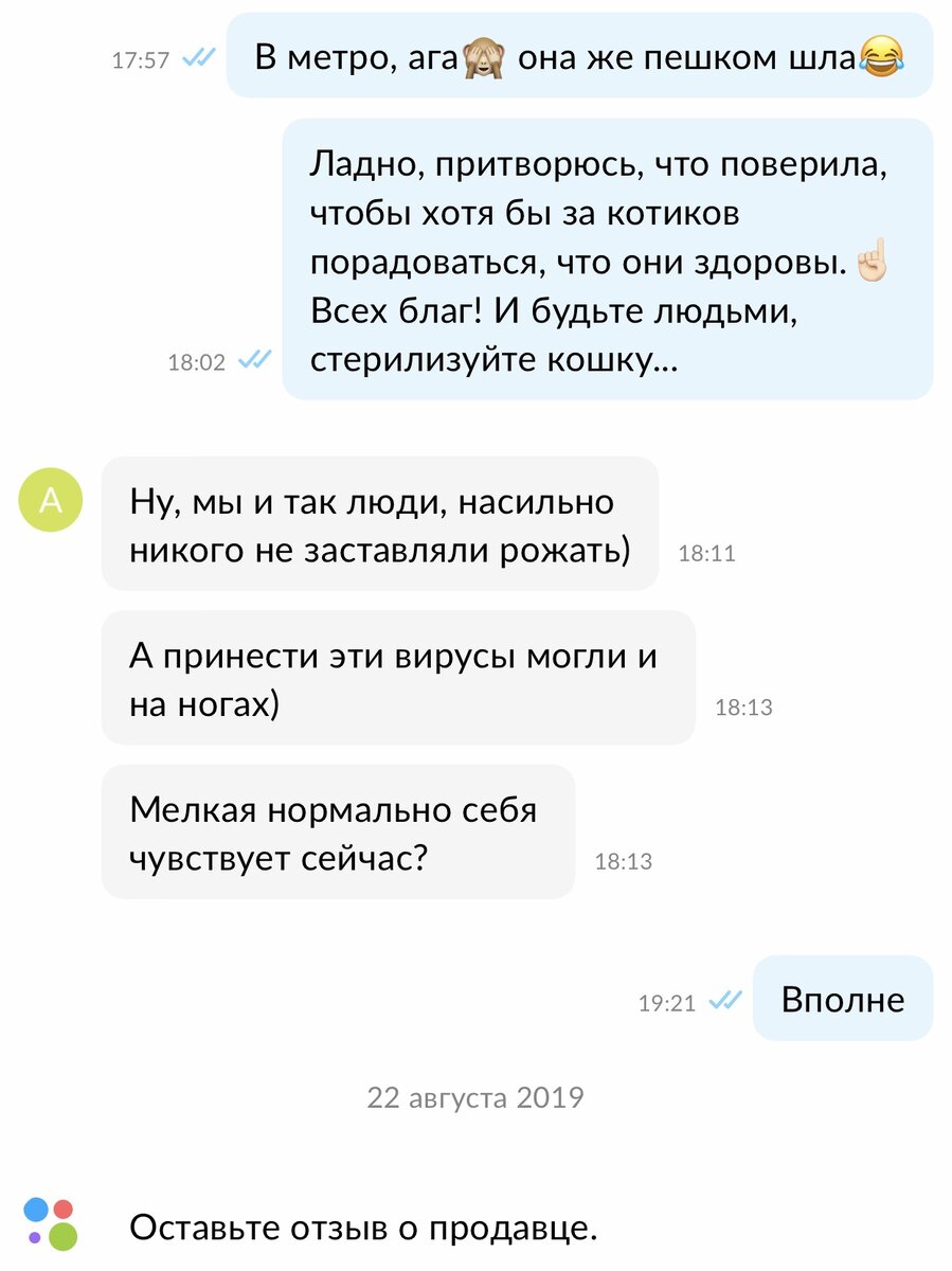 отрывок из переписки