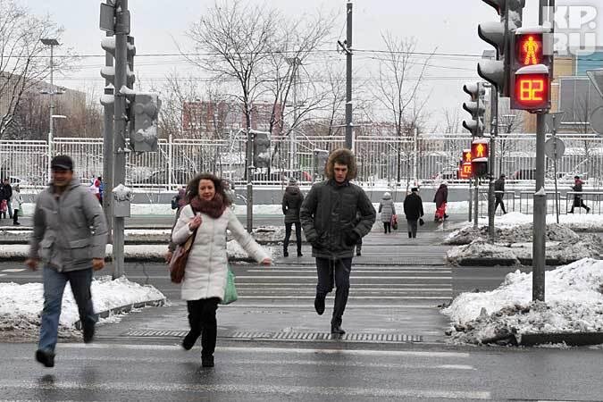 Фото из свободных источников 