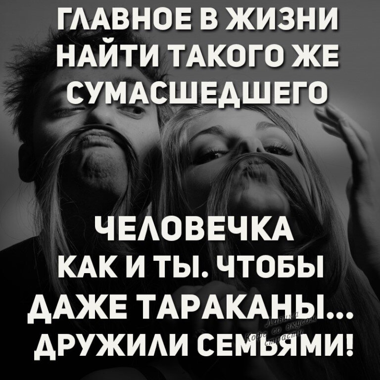 Главное в жизни найти своих и успокоиться картинки