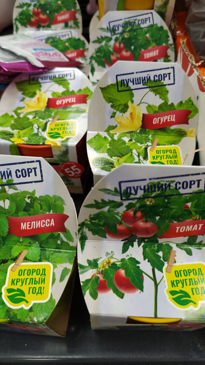 Для любителей мини огорода:мелисса,томат и огурец.