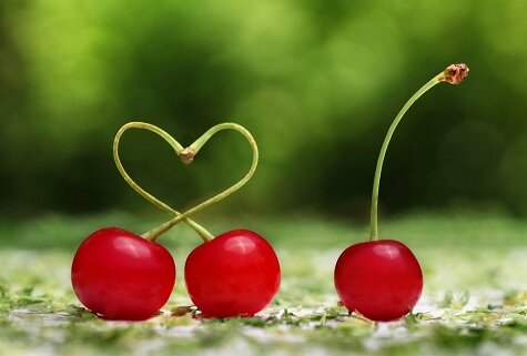 Фото из интернета