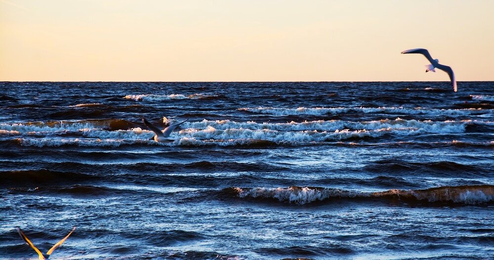 Море вернулось