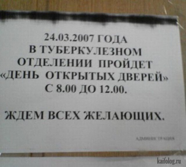 источник фото https://kaifolog.ru/