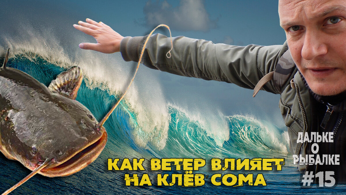 Как ветер влияет на клёв сома и где искать и ловить сома