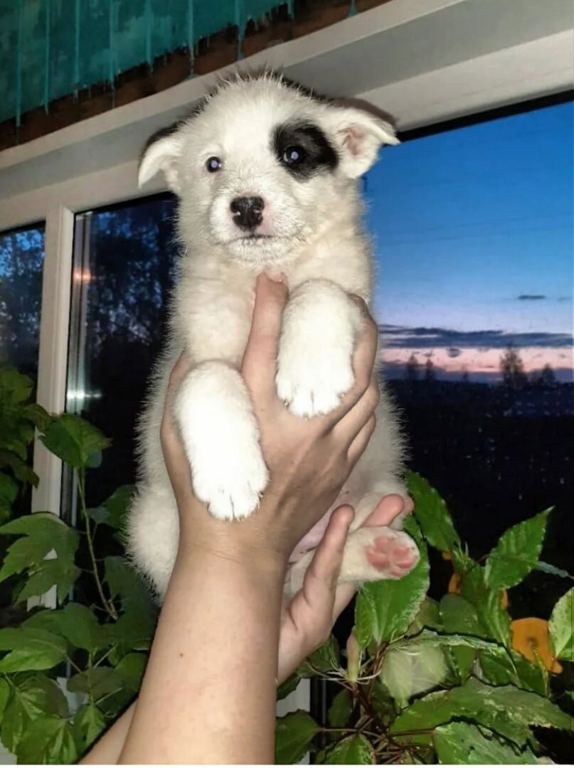 Только нашли