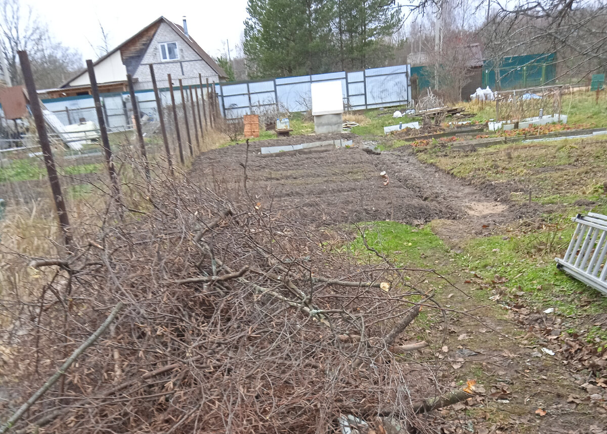 Моя прелесть!)) Тут мама напротягивала верёвок и строго по ним поднимала грядки, я копала очень мало. Мне досталась частичная перекопка тропинки по веревочкам и таскание земли ведрами))). Мама сказала что я не умею так копать), у меня не так получается))). Я делаю не так, а надо так, короче, она их по какому то ей только ведомому методу поднимала, а я на них землю таскала)))). Мне кажется она тоже полюбила дачку))). Малец нам помогал, тоже таскал землю с двумя майонезными бидончиками)))). 