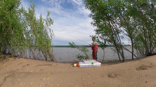 Память у рыб три секунды/Только одна из этих блесен косит щуку/Тест блесен Mepps на Енисее