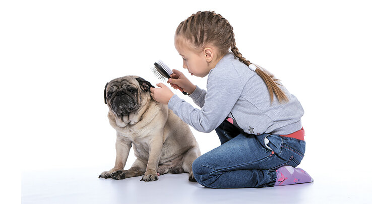 Препарат против паразитов для кошек и собак надо подбирать индивидуально, с учетом возраста, размера, длины шерсти, состояние здоровья и даже характера питомца