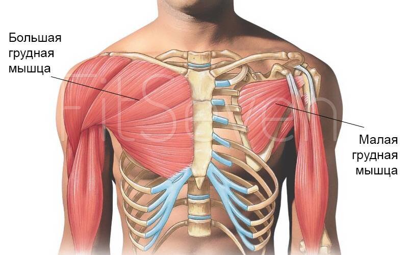 Источник: Яндекс