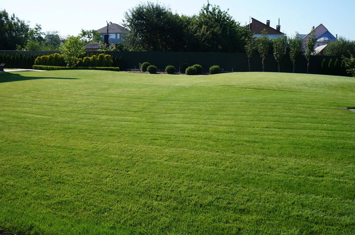 Источник: Яндекс.Картинки