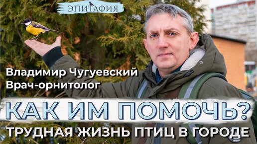 Птицы, как им помогать в трудное зимнее время?