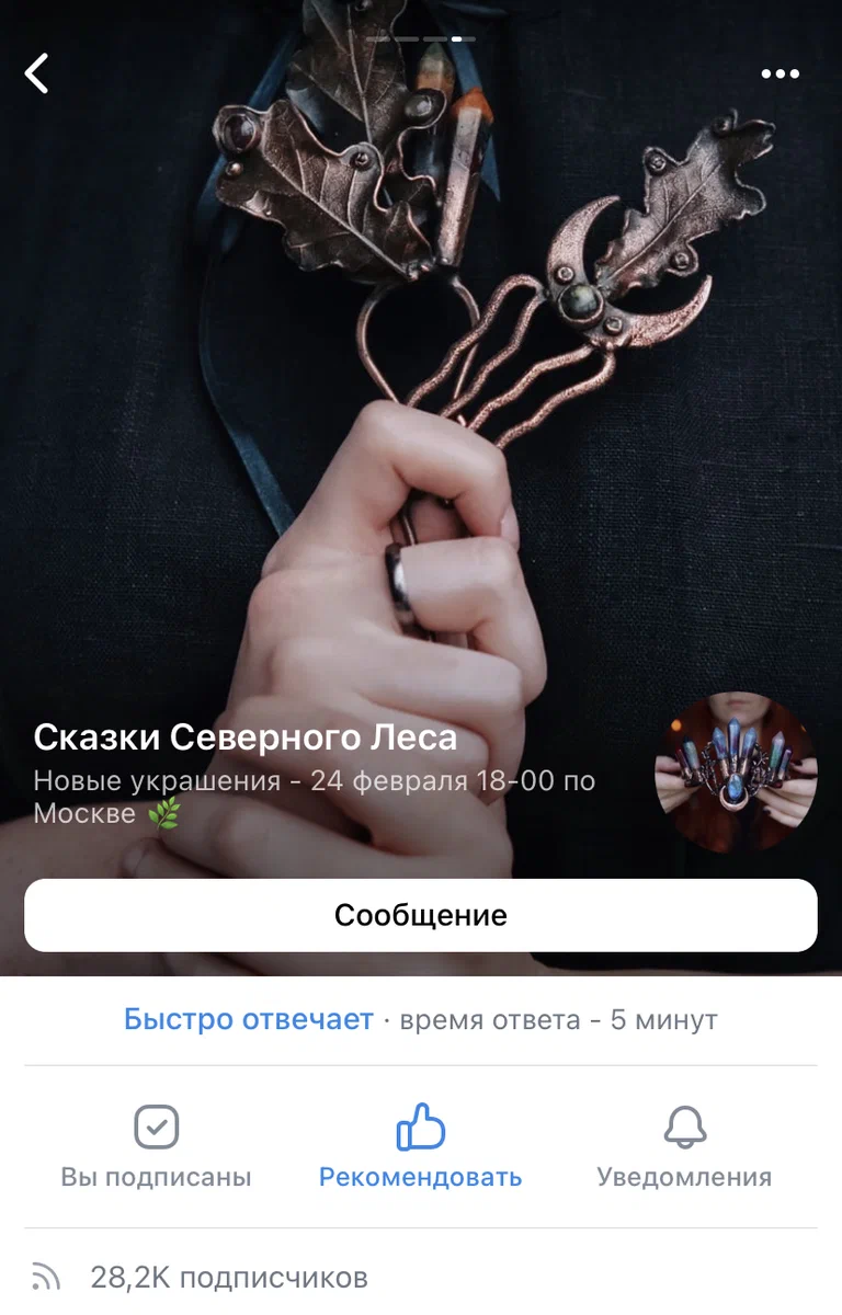 Сообщество vk.com/skazki_severnogo_lesa