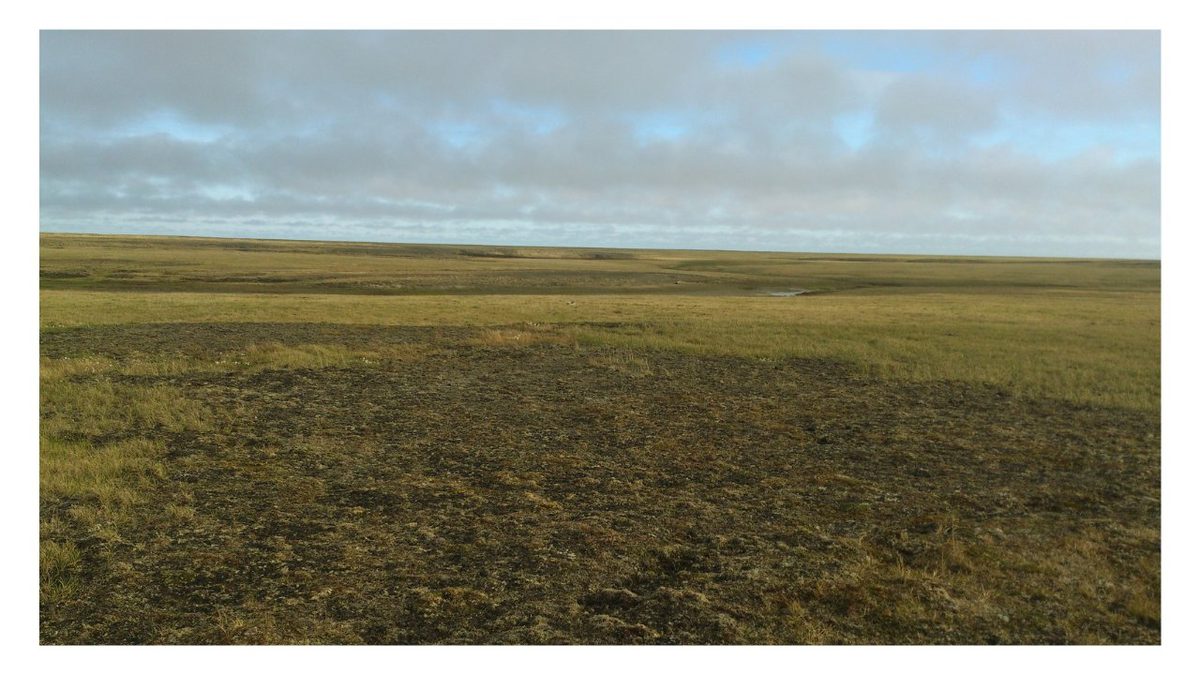 Пример "плоского пейзажа тундры"