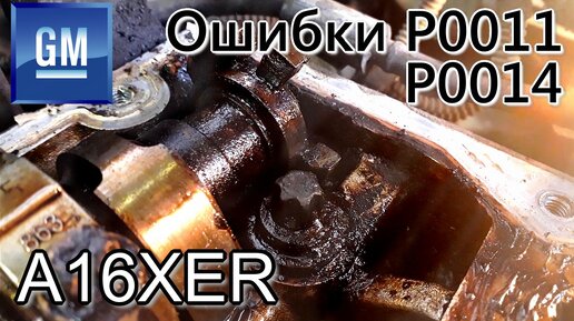 Ошибки P0011, P0014. Последствия промывки двигателя димексидом. Раскоксовка колец. Lavr - ML203.