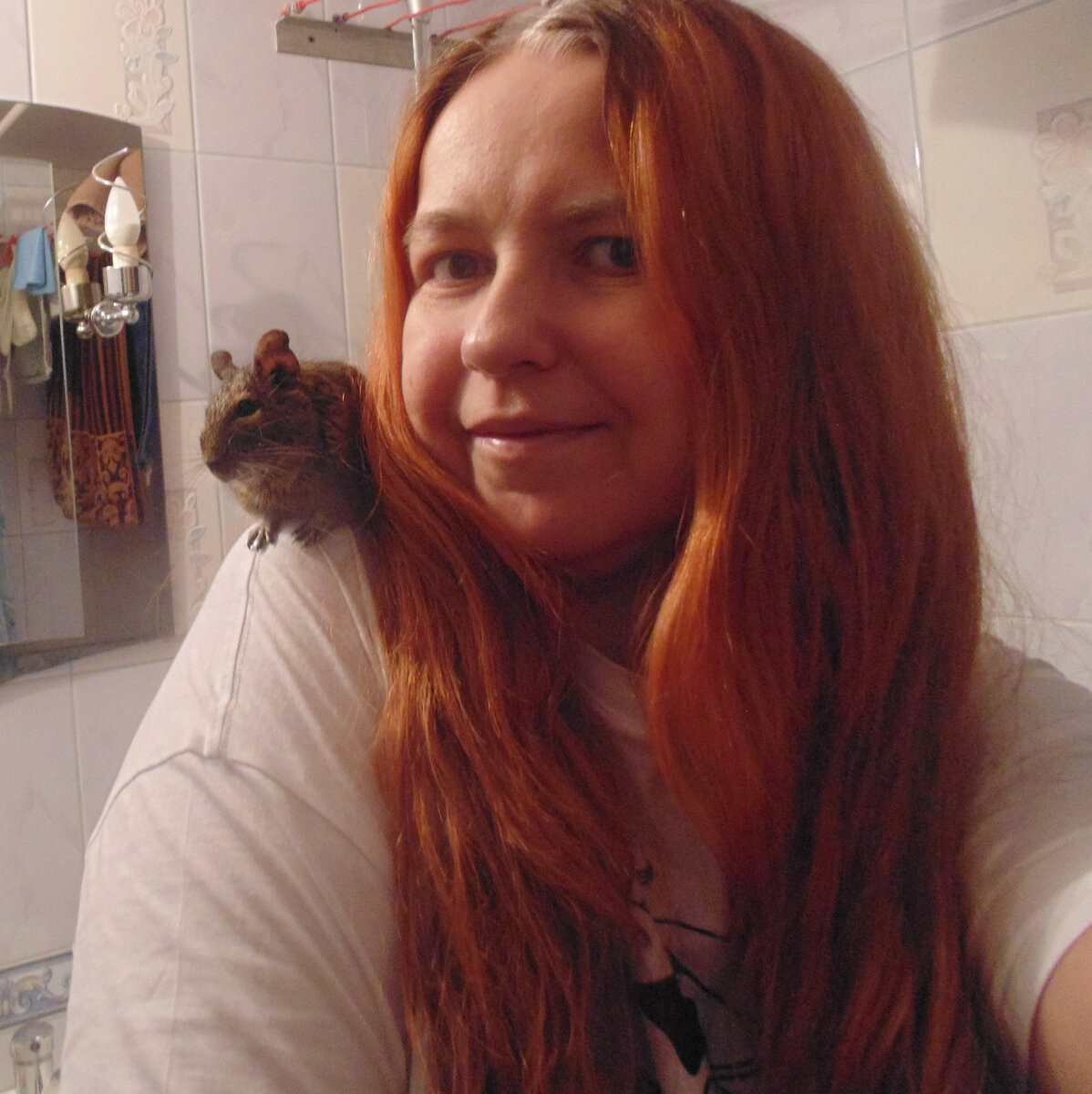 Juli Снег и дегу Хвостик