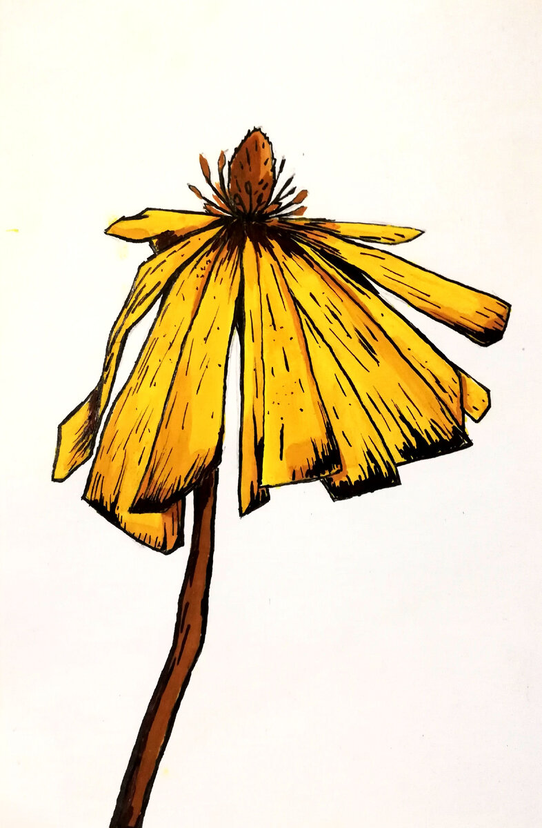 #художник #искусстворисовать #искусство #рисунок #ясделаль #яхудожникятаквижу #арт #арттерапия #минимализм #мойарт #личныйблог #творческийблог #творчество 