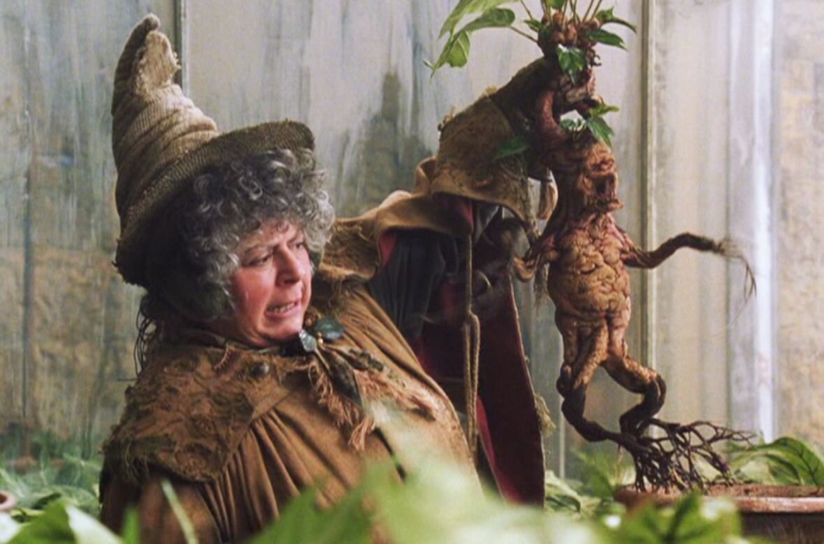 Кадр из "Тайной комнаты", 2002