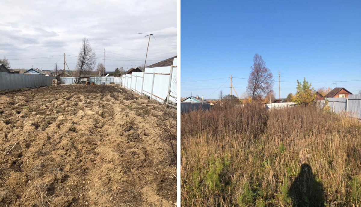 Так выглядела земля, когда я купила участок.
