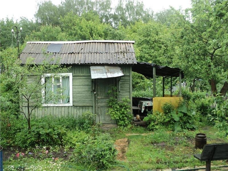 Фото из интернета