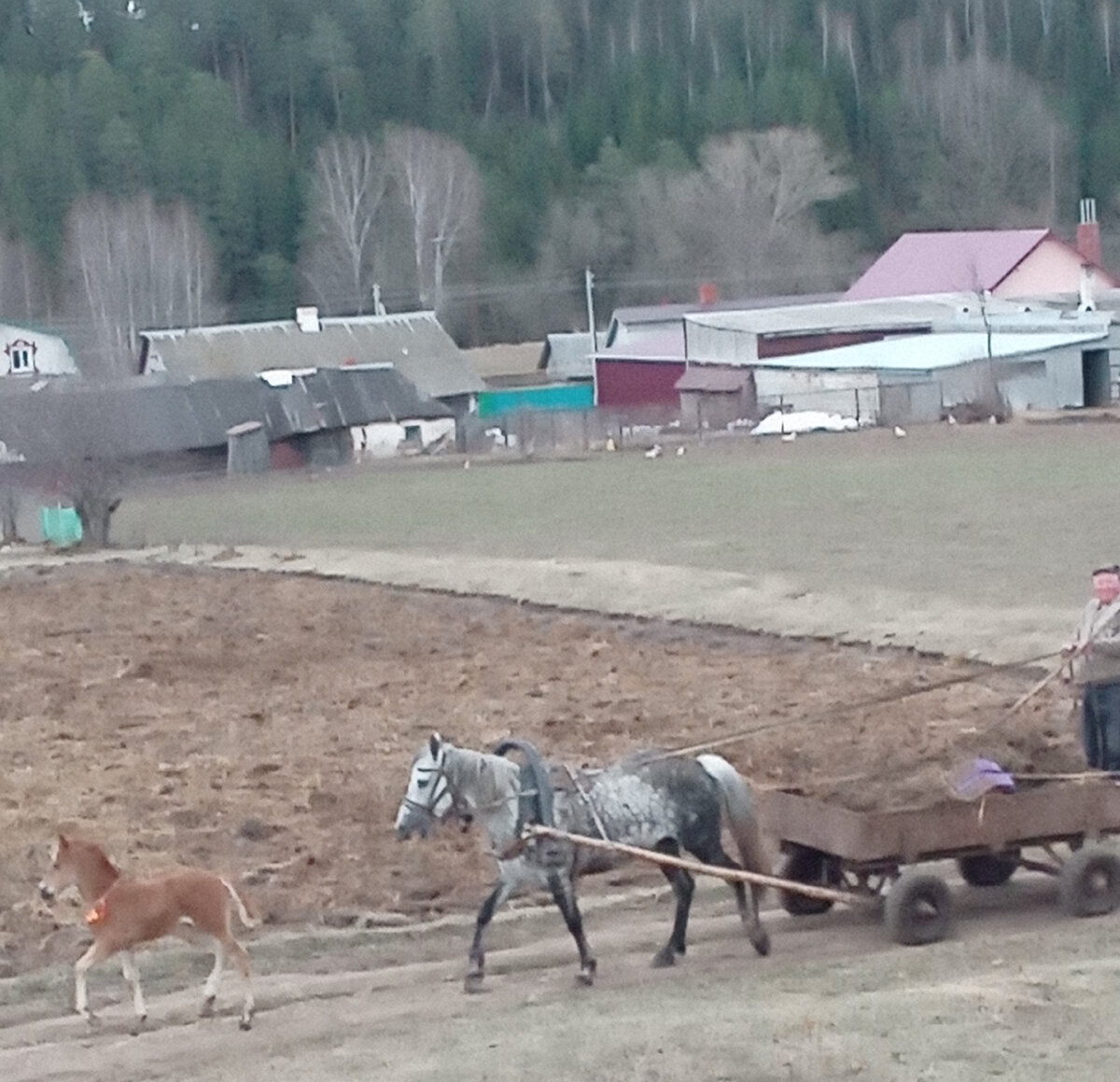 Раздражают Зухру сестры Ризвана. Одна ехидная усмешка Сююмбике что стоит |  Бронзовое кольцо | Дзен