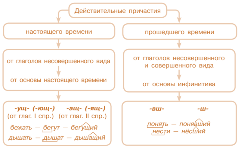 Как образуются причастия в русском языке?