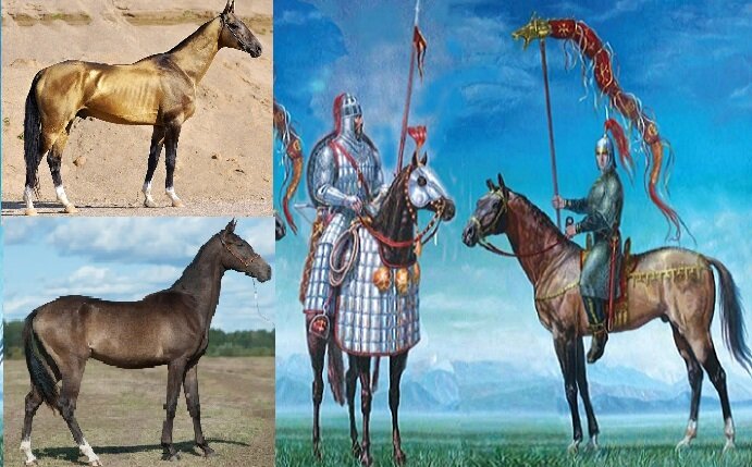 Ахалтекинская порода лошадей хорошо подходила как для тяжелой, так и для легкой конницы сарматов. (wiki pet.ru\shampury1.ru\YouTube)