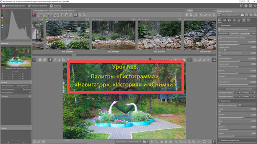 Серия уроков по RawTherapee. Урок №8. Палитры «Гистограмма», «Навигатор», «История» и «Снимки»